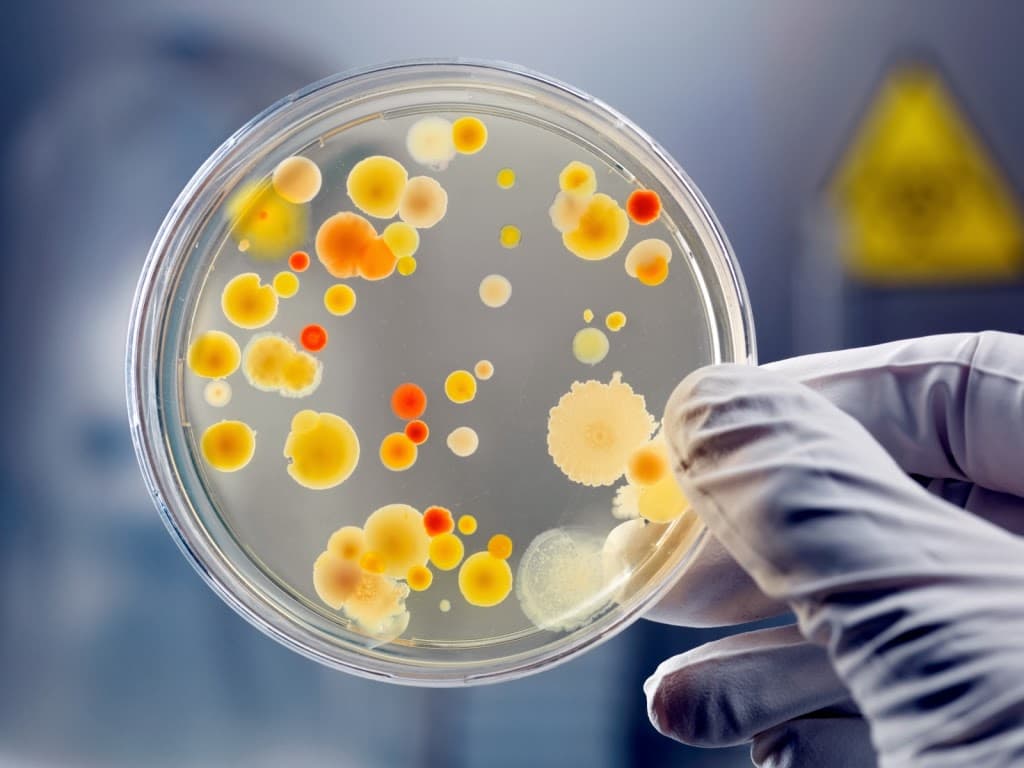Vagas para biomédicos no Programa de Residência em Área Profissional da Saúde